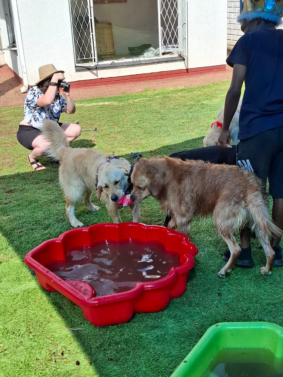 Pawsome Pups in action